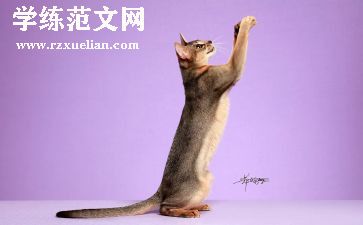 初中《猫》教案最新6篇