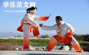 武术,作文7篇