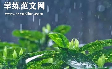 关于雨的材料作文通用6篇