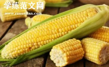 玉米地买卖合同7篇