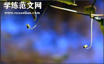 牵挂作文作文最新6篇