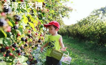 中班音乐《摘果子》教案5篇