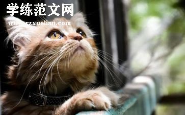 抬头看作文推荐6篇