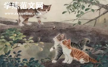 大班野猫的城市教案模板8篇