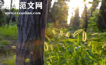 夏天的诗读后感6篇