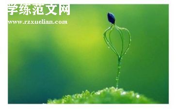 生命可贵作文5篇