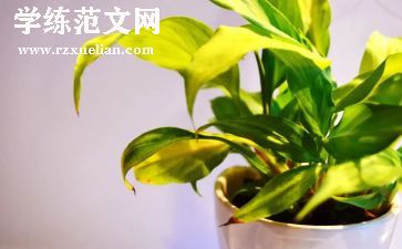 绿色校园低碳生活演讲稿7篇