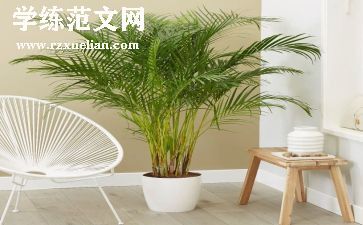 绿色校园低碳生活演讲稿优秀5篇