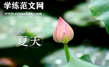 描写夏天的作文500字优秀8篇