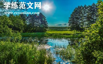 描写夏天的作文500字参考8篇