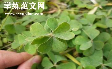 《草房子》心得推荐5篇