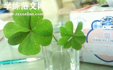 《草房子》心得优质8篇