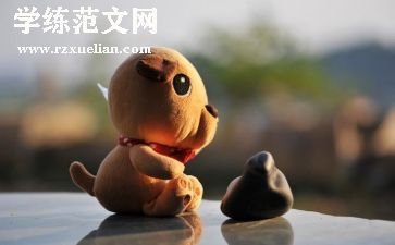 茎和叶的教学教案最新5篇