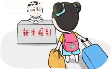 新生入学心得体会范文800字5篇