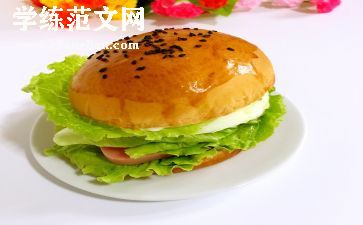 做汉堡教案5篇