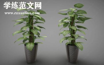 绿色低碳环保教案8篇