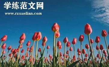 叙事作文800字参考6篇