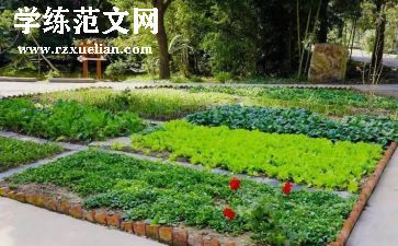 吃野菜的作文6篇