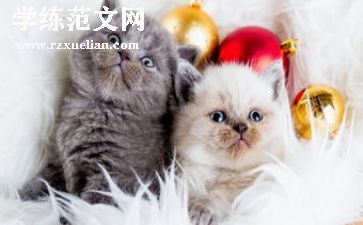 动物的脚和角的教案反思6篇