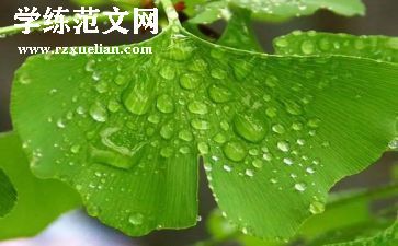 教师的苦与乐演讲稿6篇