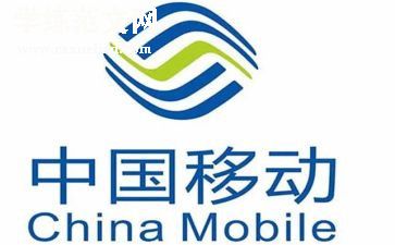 移动公司工作个人总结5篇