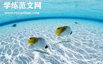 海日出的作文最新7篇