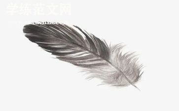 羽毛球体会心得6篇