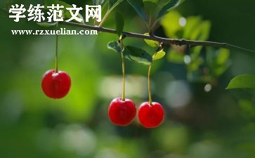 品味茶的作文参考6篇