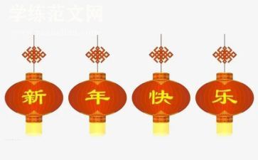 欢度新年教案5篇