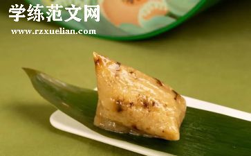 小粽子,小粽子教案5篇