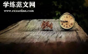 优质服务个人心得7篇