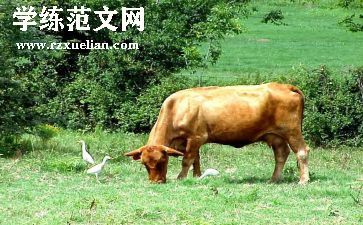 小蜗牛的教案通用6篇