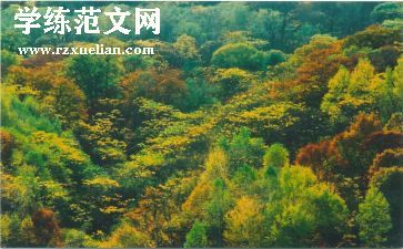 我爱四季作文参考5篇