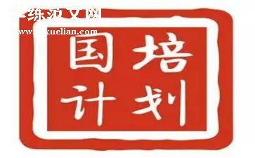 2024国培计划个人研修总结6篇