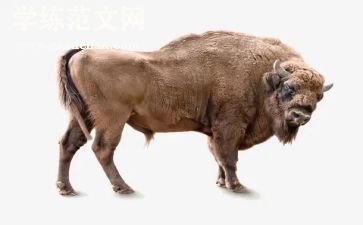 小蜗牛的教案优秀7篇