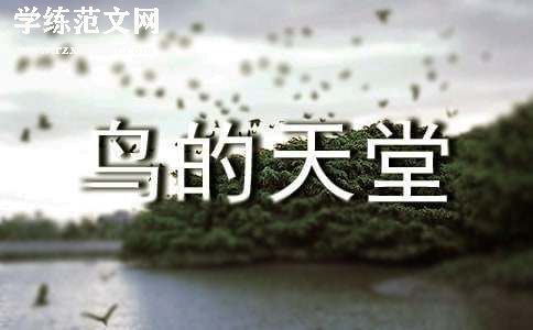 《鸟的天堂》教学反思(合集15篇)
