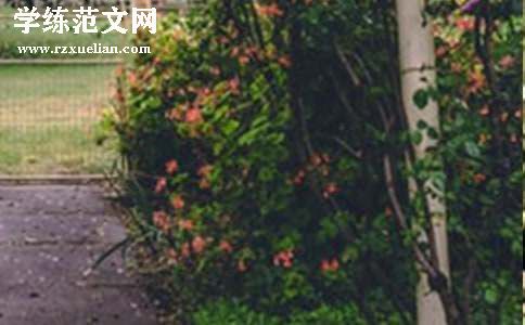 （必备）《巨人的花园》教学反思